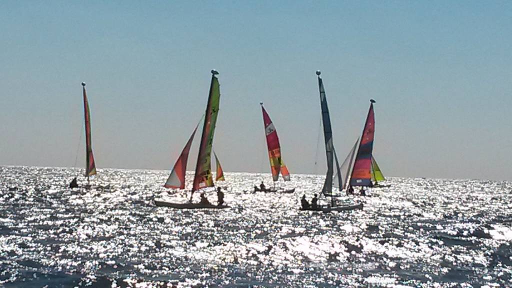 Régate à Bormes les Mimosas