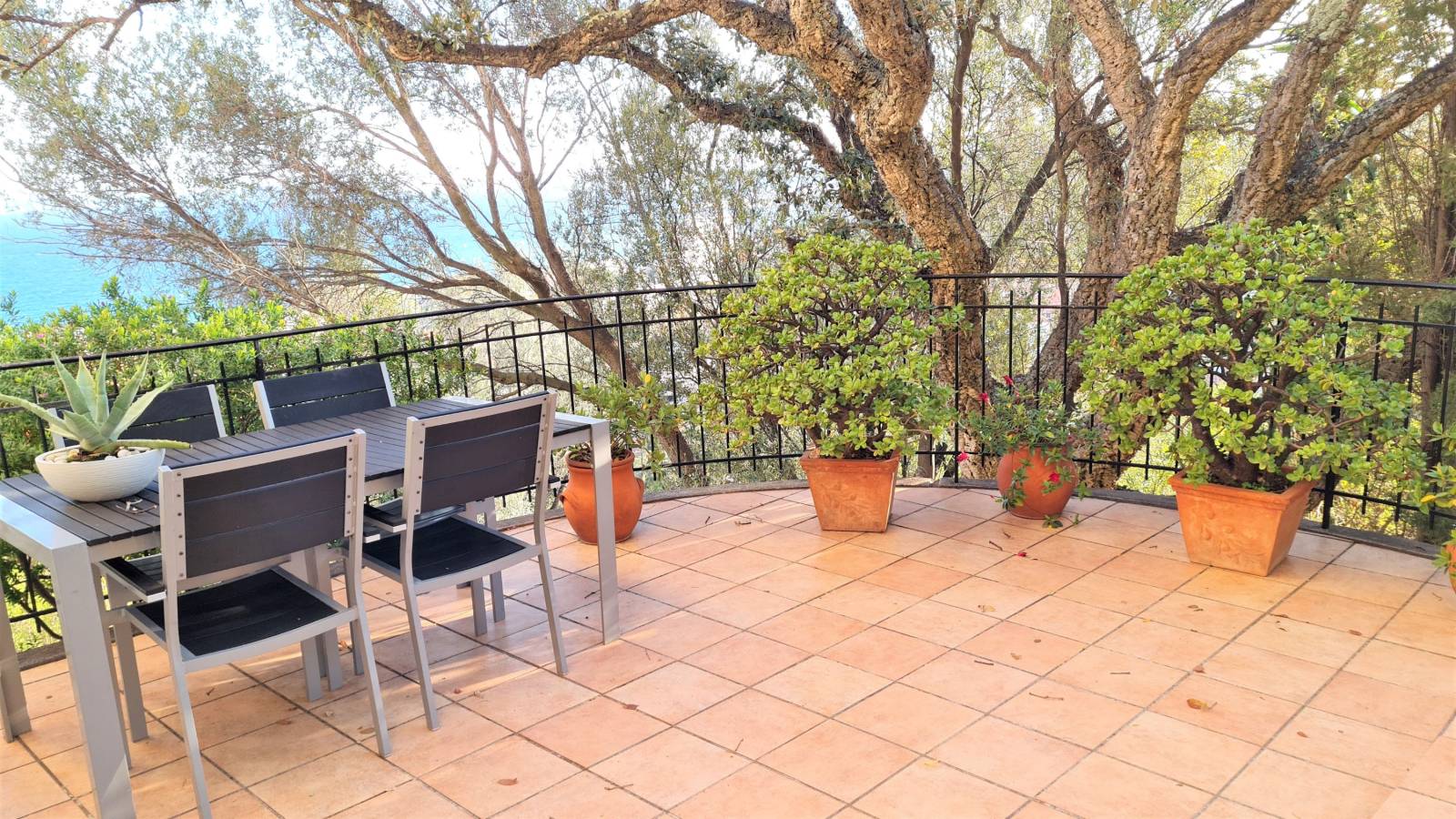 Terrasse en hauteur du Lavandou